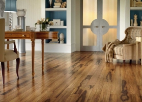 Sàn gỗ nhựa: Sự lựa chọn thông minh cho ngôi nhà của bạn